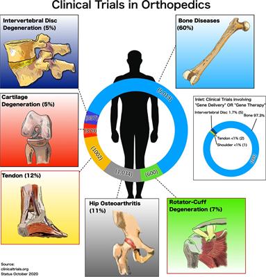 Non-viral Gene Delivery Methods for Bone and Joints